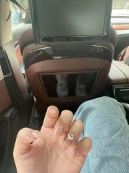 -Sin Nail芯日式美甲美睫店