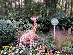 -上海共青森林公园