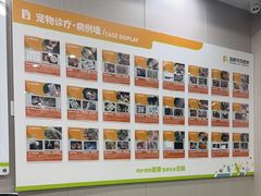 -瑞鹏宠物医院·骨外科·心肾科·肿瘤科(九亭店)