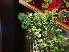 -喜湘宴·精致湖南菜(和平西桥店)