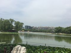 景点-陶然亭公园