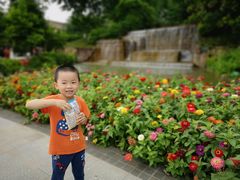 -成飞公园