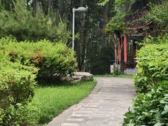 -仁和公园(顺义区)