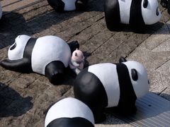 -星光大道