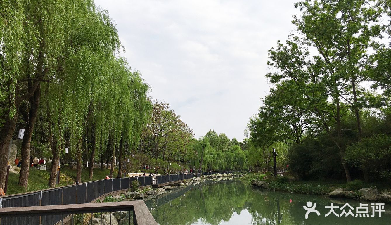 成都五星級的免費公園,距離上一次去這個公園已經快一年