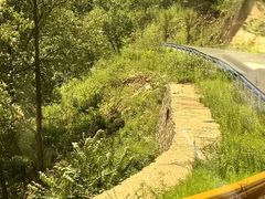 -洛阳白云山景区