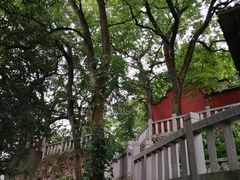-乌山风景区
