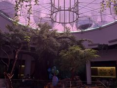 -陕西自然博物馆