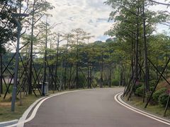 -飞凤山奥体公园