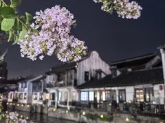 -南翔古镇