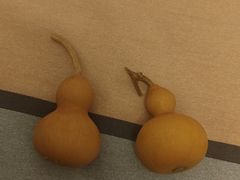 -大瓦窑(地铁站)