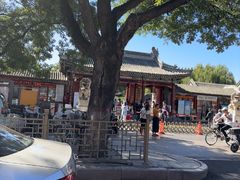 -莲池书院博物馆