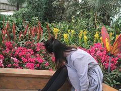 -共青国家森林公园-南大门停车场