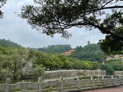 -南沙蒲洲花园