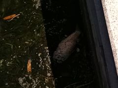 -苏州河梦清园环保主题公园