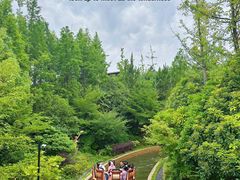 -茅山东方盐湖城景区