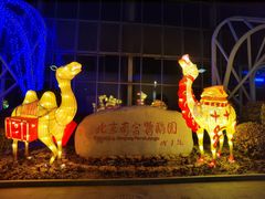 -南宫五洲植物乐园