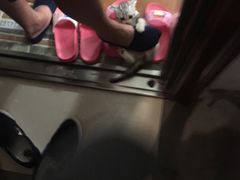 -Bastet sally猫舍购宠(静安店)
