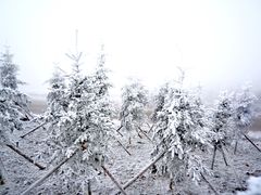 -牛背山