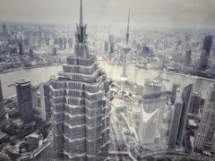 -上海柏悦酒店·世纪100牛排馆