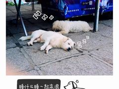 -龙舟池