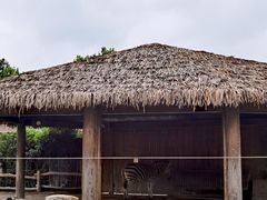 -上海野生动物园