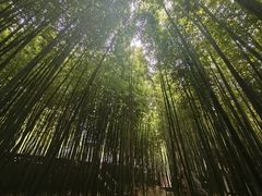 -泰山风景名胜区-普照寺