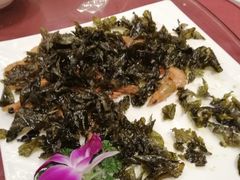 -重庆富力艾美酒店