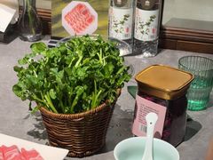 -鼎鼎香·港式火锅(北京SKP店)