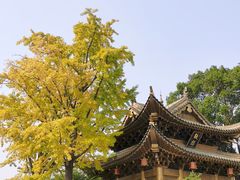 -上海东林寺(金山区)