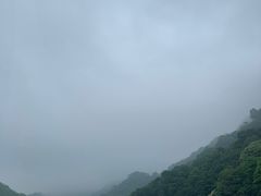 -广州市石门国家森林公园