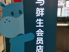 -盒马鲜生(大成店)