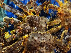 -79号渔船海鲜饭店(华强北店)