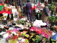 -宝鸡东道花鸟鱼虫市场(吉利花园商场店)