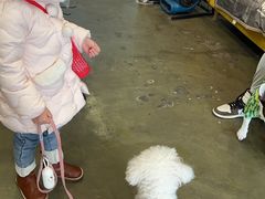 -PETKIT 小佩宠物·低压洗护·美容·寄养(安远店)