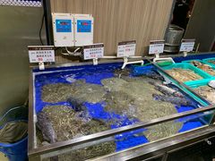 -船歌·鱼水饺青岛菜(金狮广场店)