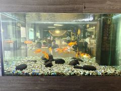 -大家乐(东莞虎门店)