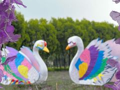 -广东花都香草世界旅游度假区