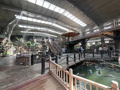 -南宫五洲植物乐园