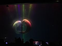 -芜湖新华联大白鲸海洋公园