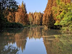 -桤木河湿地公园