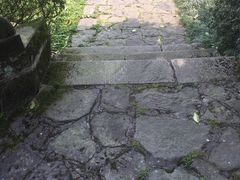 -南山植物园