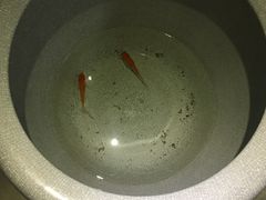 -蝦塘·中国餐馆(城墙南马道巷店)