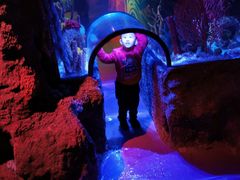 -沈阳海洋探索中心