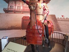 -南越王博物院(王宫展区)