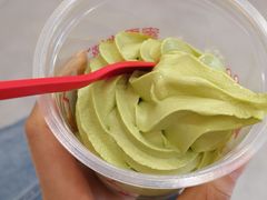 -蜜雪冰城(托乐嘉店)