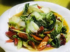 -煲来饱去冷水鱼