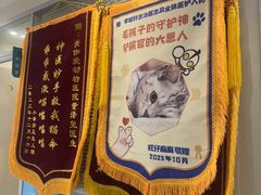 -美迦爱-牙专科·兔科·骨科诊疗中心(北苑店)