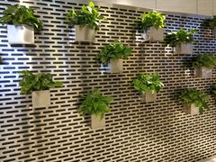 -CoCo都可(360丰产店)