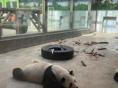 -西安秦岭野生动物园